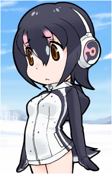 Humboldt Penguin's image