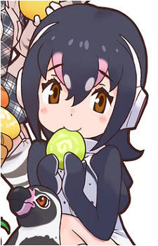 Humboldt Penguin