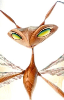 Queen Ant {TAB}'s image