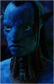 Image 5 Image 5