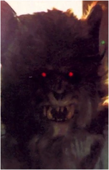 Arleil Schous's image