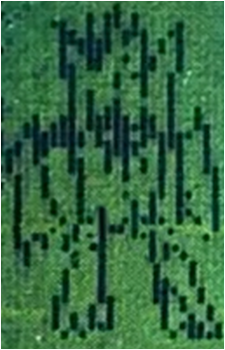 Image 5 Image 5