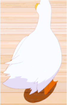Tapioca