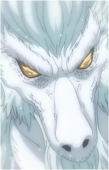 Weisslogia's image