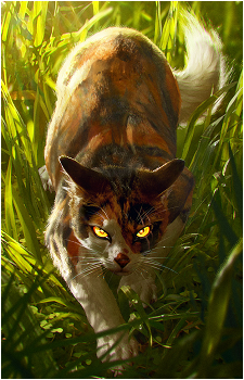 Mapleshade's image
