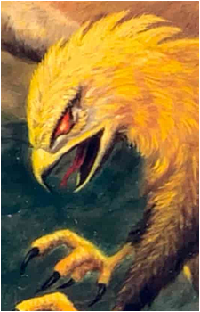 Zuberi's image