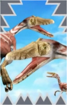 Velociraptors's image