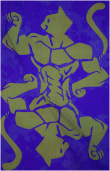 Image 31