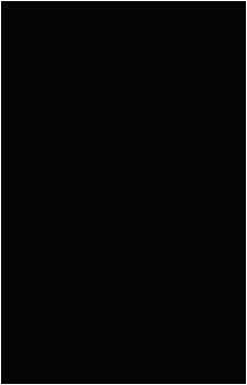 Image 29