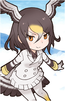 Northern Goshawk's image