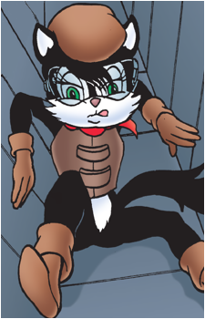 Hershey Cat
