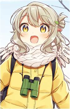 Image 6 Image 6