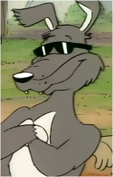 Danny Dingo