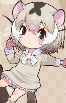 Japanese Dormouse