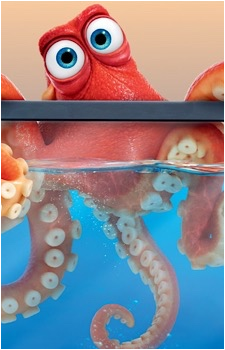 Hank's image