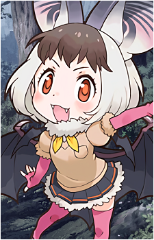 Brown Long-Eared Bat's image