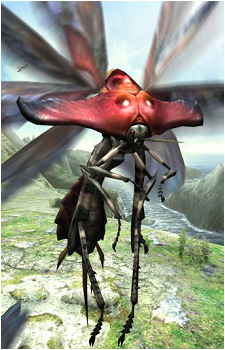 Bnahabra