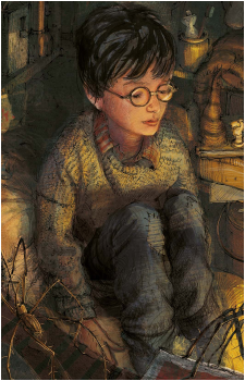 Harry Potter
