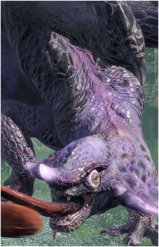 Chameleos's image