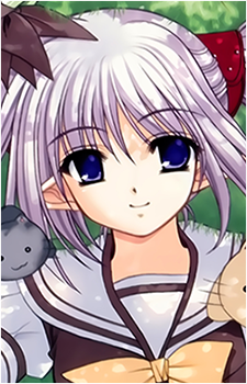 Image 16