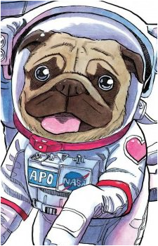 Apo's image