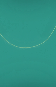 Image 31