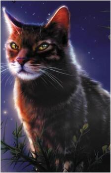 Windstar's image