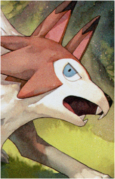 Image 30