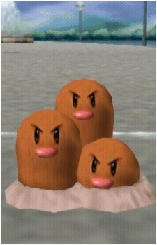 Image 20