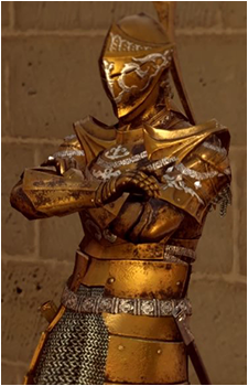 Darkmoon Knightess's image