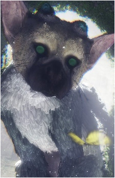 Trico's image
