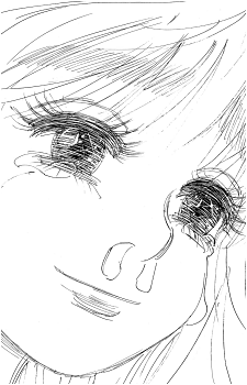 Image 26