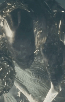 Image 5 Image 5