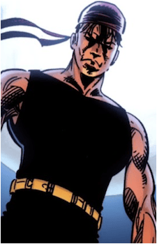 Robin (Just Imagine Universe)'s image
