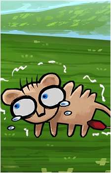 Scaredy Cat