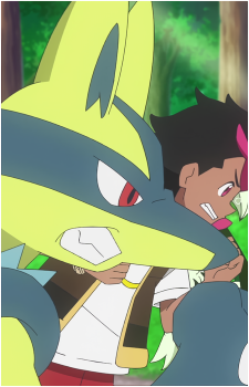 Roy's Lucario