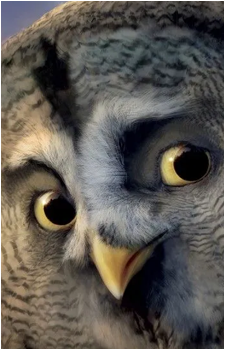 Image 2 Image 2