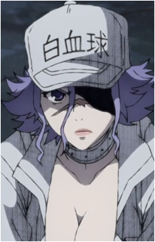 Image 4 Image 4