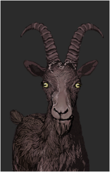 Black Kalev's image