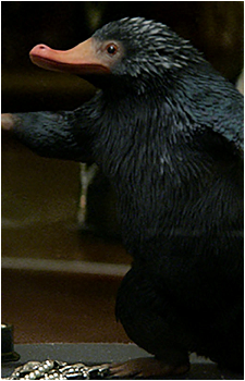 Image 3 of Newt Scamander's Niffler