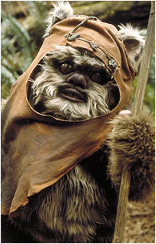 Wicket's image