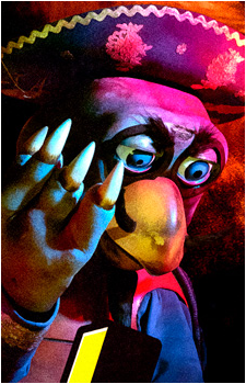 Tito Turtle's image