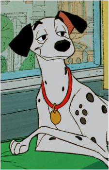 Image 26