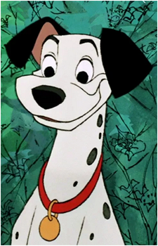 Pongo's image