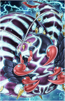 Bujingi Centipede's image