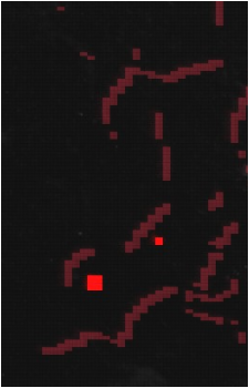 Dead King Freddy