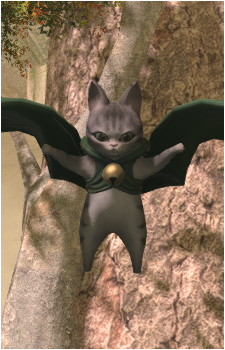 Ailouros's image