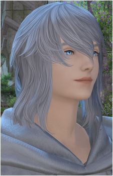 Image 6 Image 6