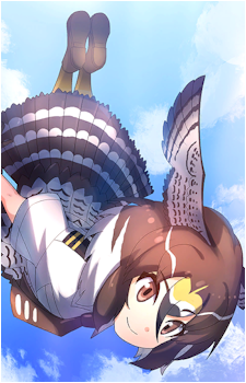 Peregrine Falcon