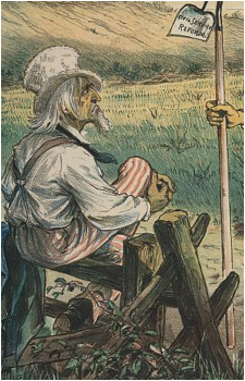 Image 13